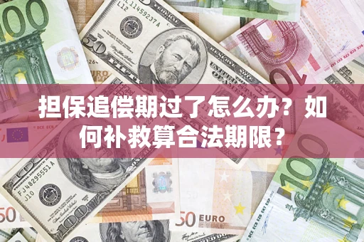 济南担保追偿期过了怎么办？如何补救算合法期限？