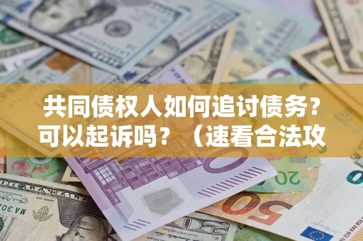 济南共同债权人如何追讨债务？可以起诉吗？（速看合法攻略）