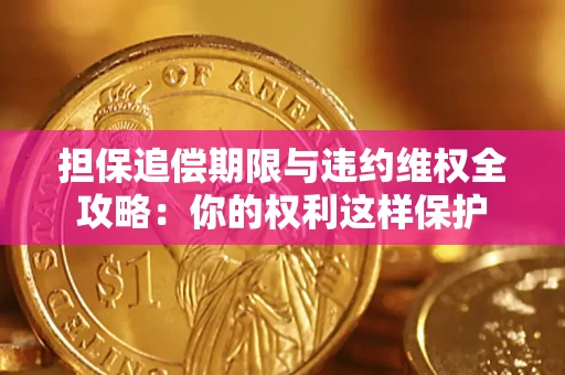 济南担保追偿期限与违约维权全攻略：你的权利这样保护