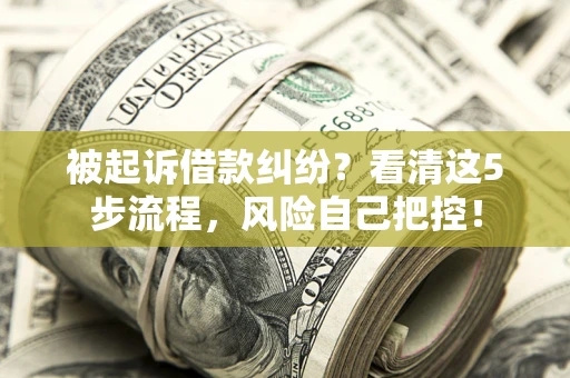 济南被起诉借款纠纷？看清这5步流程，风险自己把控！